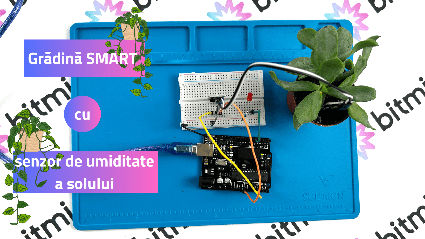 Cum sa construiesti o gradina smart cu un senzor de umiditate sol si o placa Arduino Uno R3