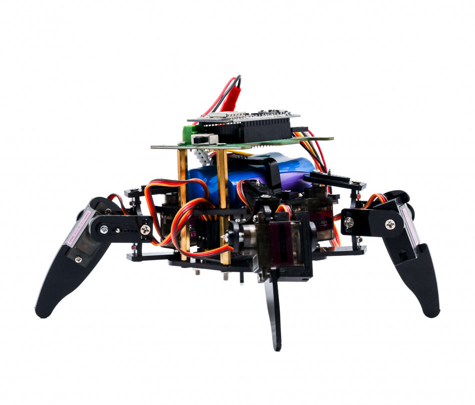 Kit de robot STEM Paianjen, Bitmi 10158
