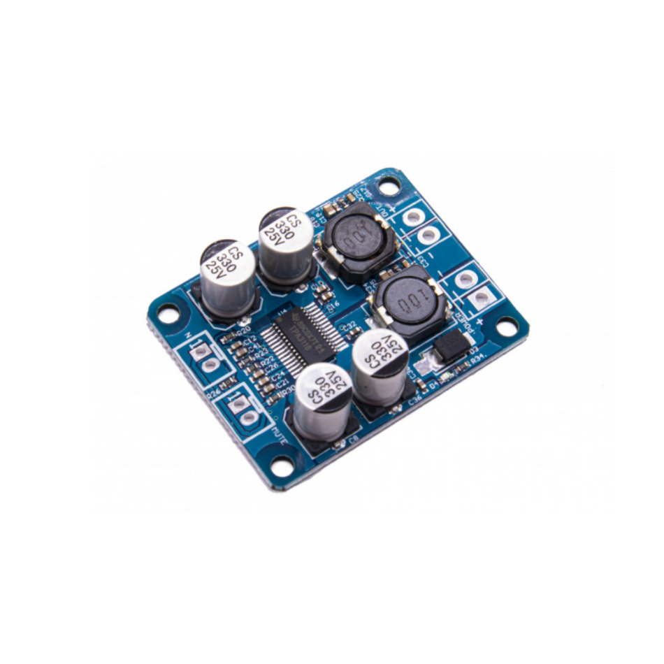 Modul amplificator audio mono 60W TPA3118 4-8 Ohm