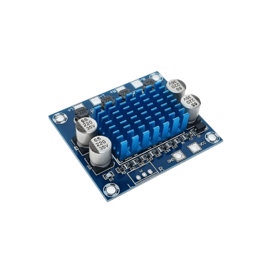 Modul amplificator audio stereo TPA3110 30W+30W, 2 canale, XH-A232